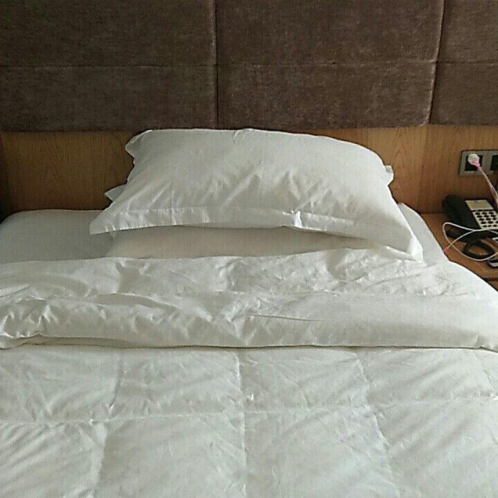 Wen Xin Yuan Homestay Puli Bagian luar foto